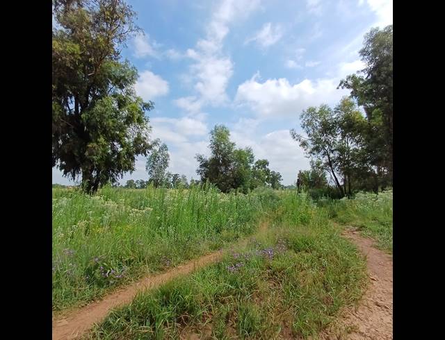 87,023M² VACANT LAND FOR SALE IN OPHIR AH